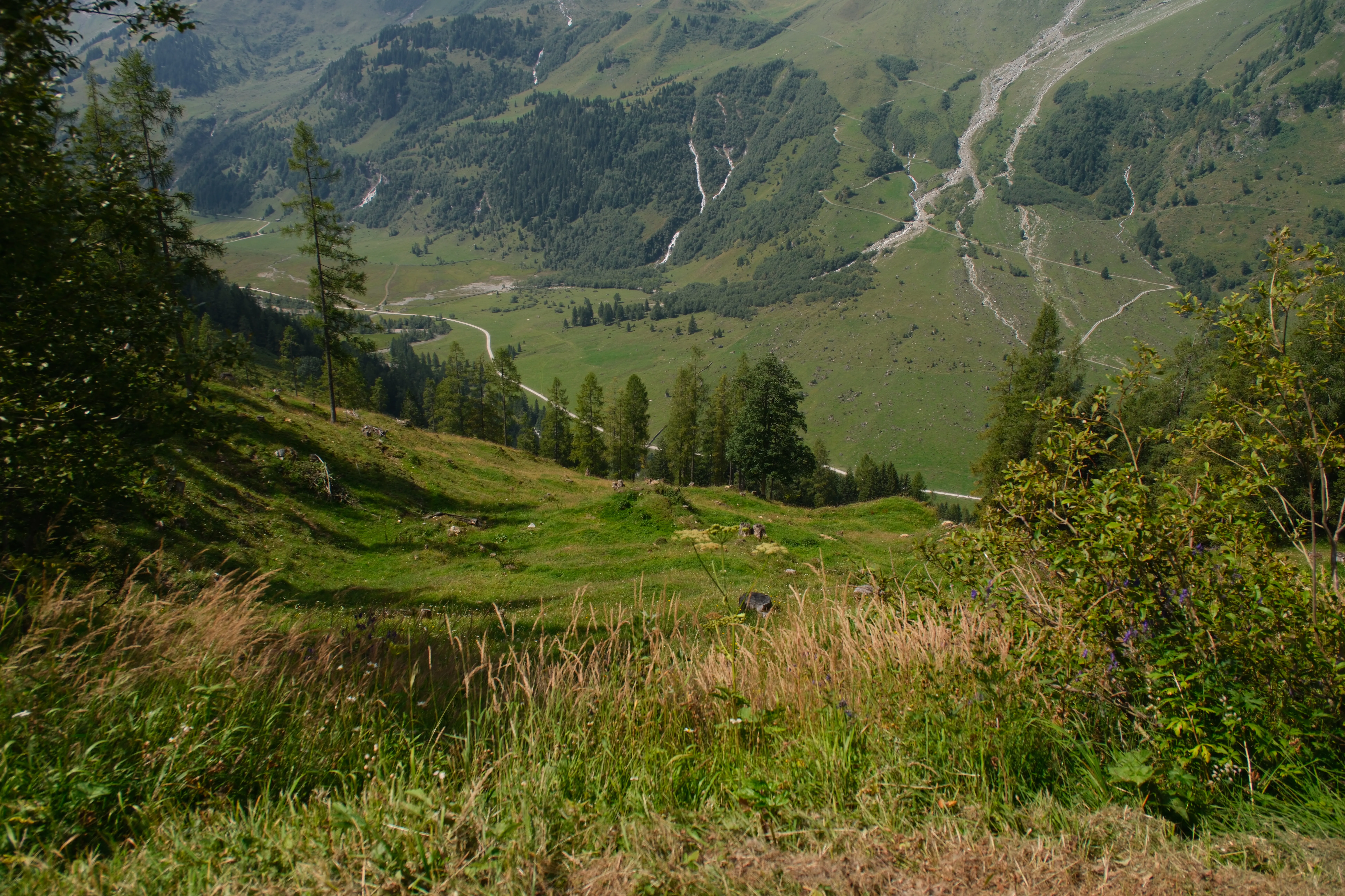 Austria, 2025